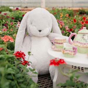 Big Nibble 20 Bunny – Gray