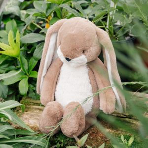 Sweet 16 Floppy Nibble Bunny – Ginger Snap